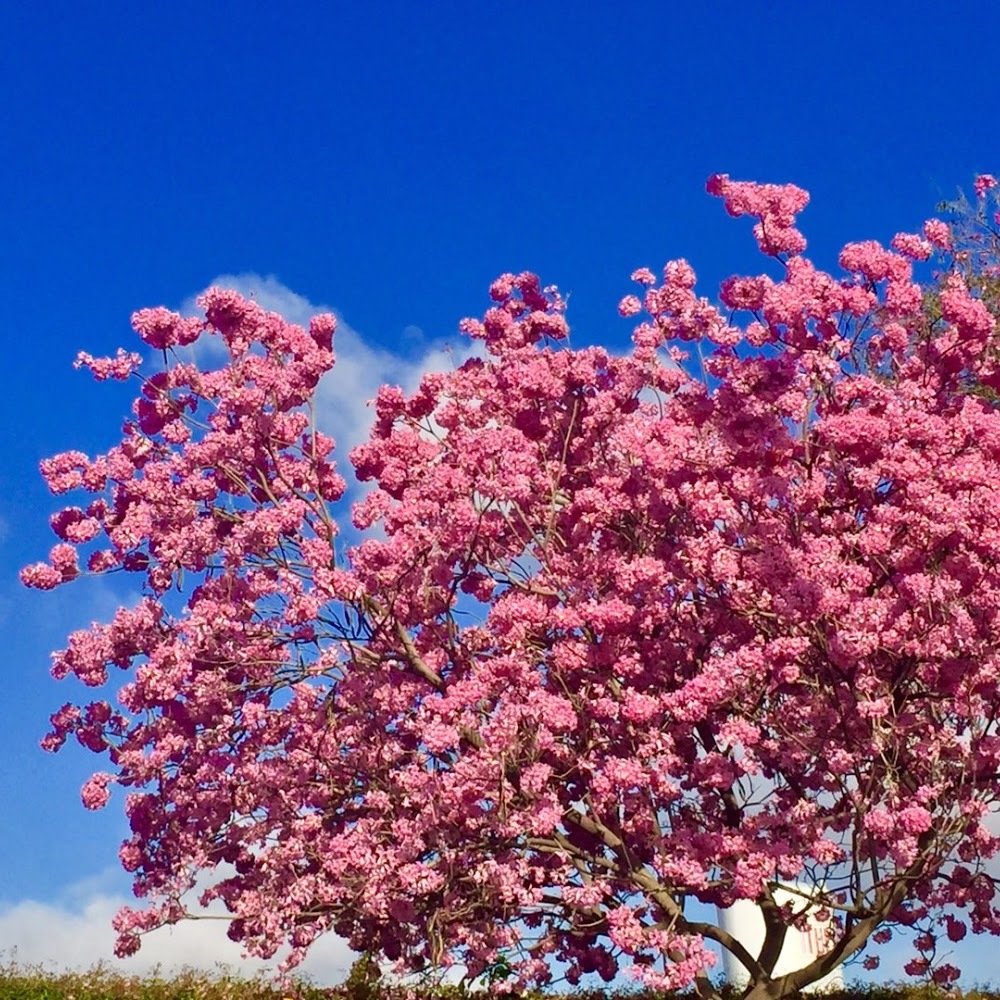 Meet your Posher, Supertes